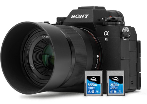 Sony camera and OWC Atlas Pro CFexpress Type A Memory Cards