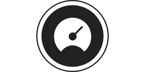 Performance Icon
