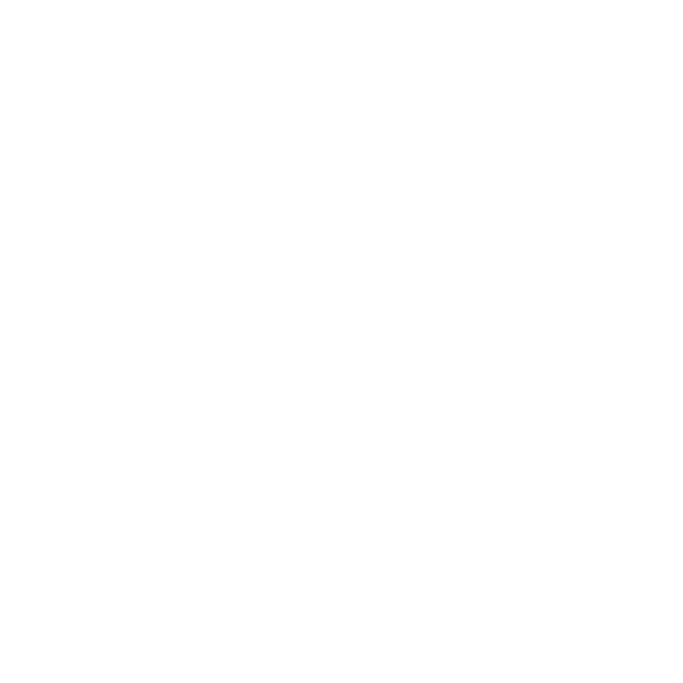 SD Cards icon