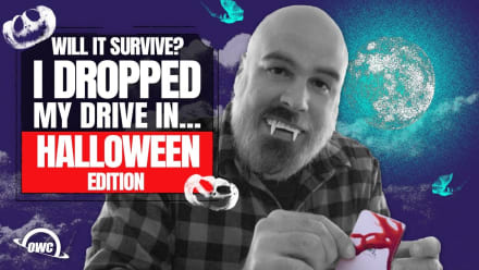 Will it survive? I dropped my drive in Halloween edition