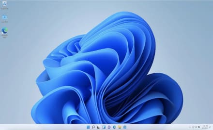 Windows 11 Desktop