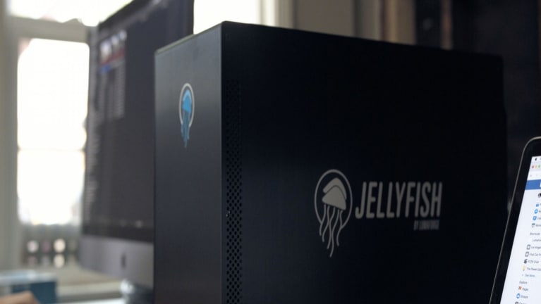 jellyfish server