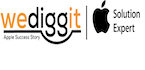 WeDiggIT logo
