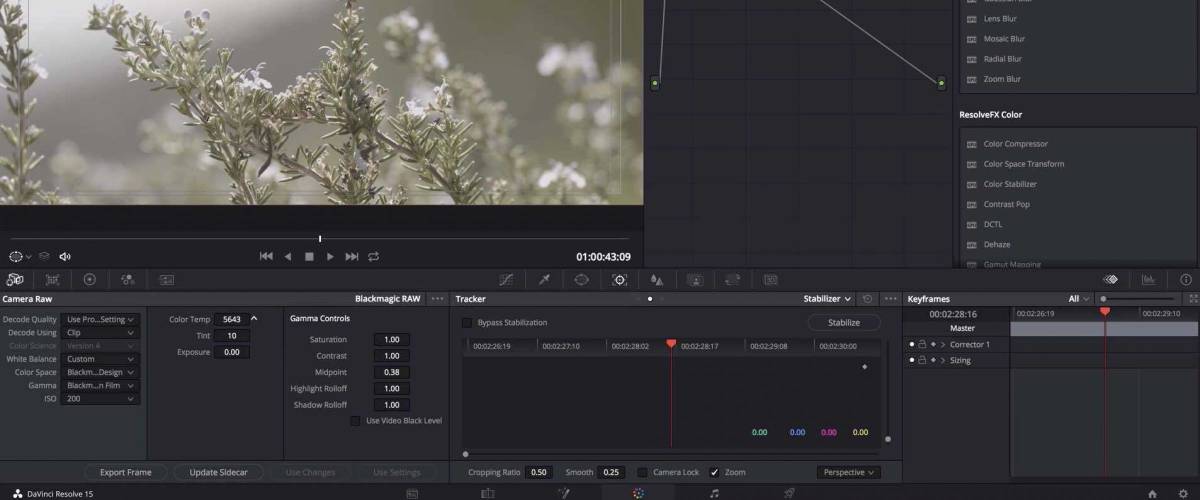 blackmagic raw format