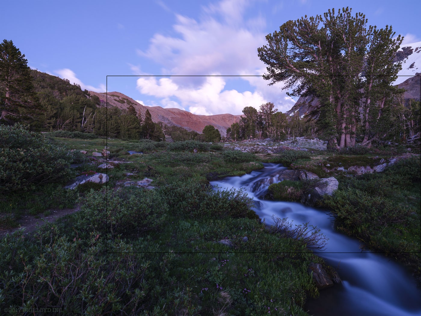 Year 2017: 8256 X 6192= 51.1 megapixels, Fujifilm GFX 50S