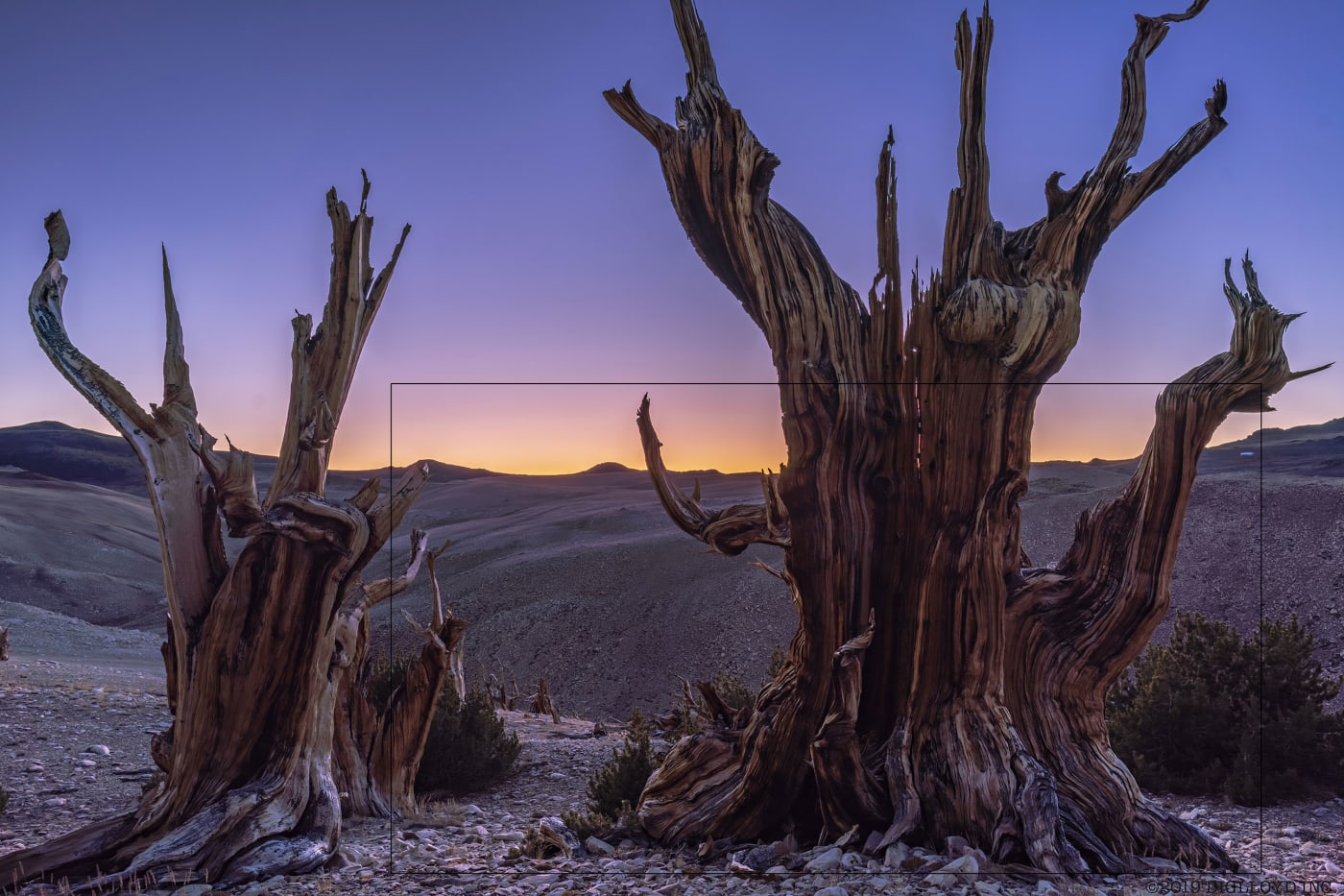 Year 2019: 9504 x 6336 = 60 megapixels, Sony A7R IV