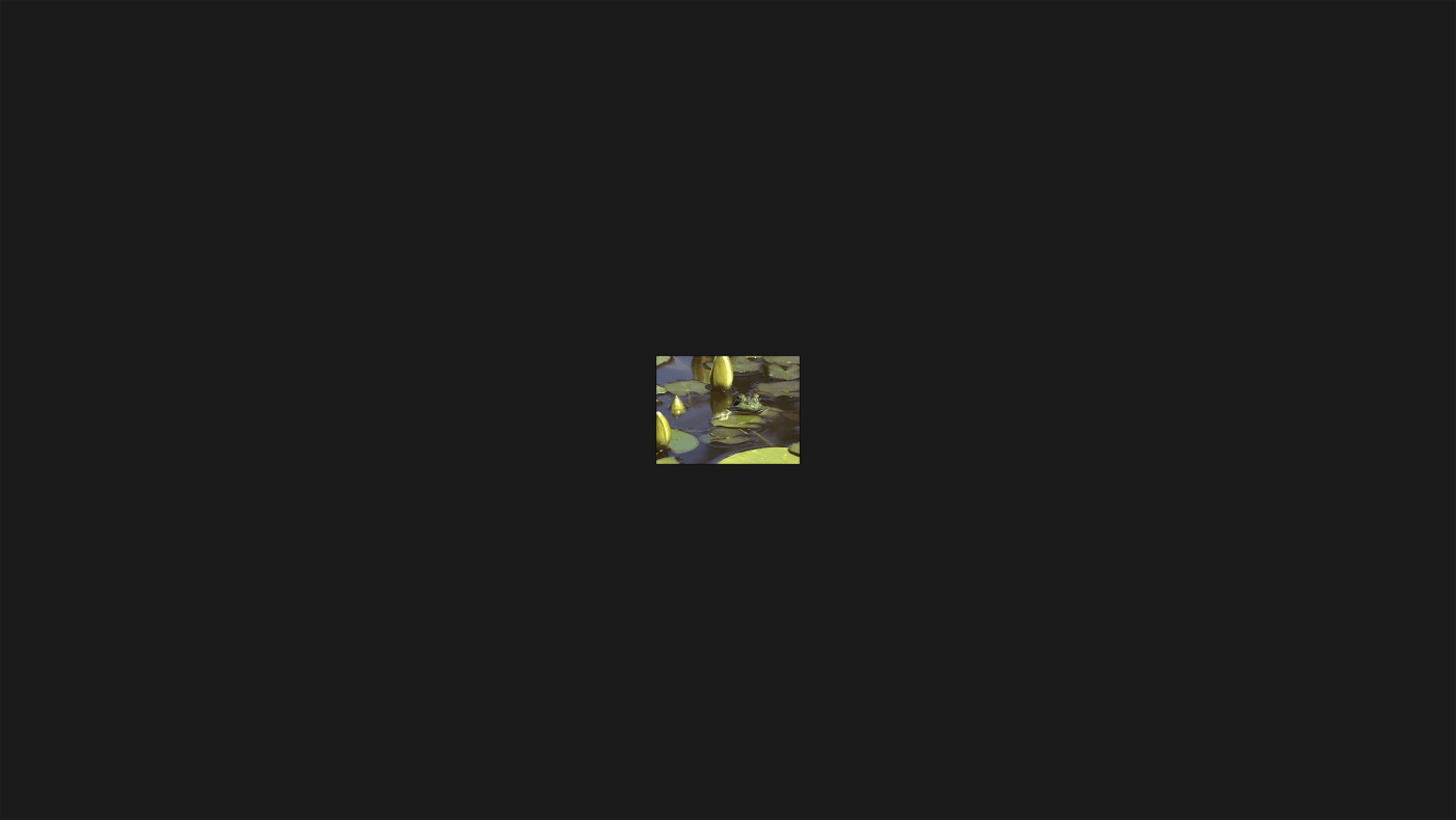 Year 1997: 640 X 480 = 0.31 megapixels, Sony camcorder