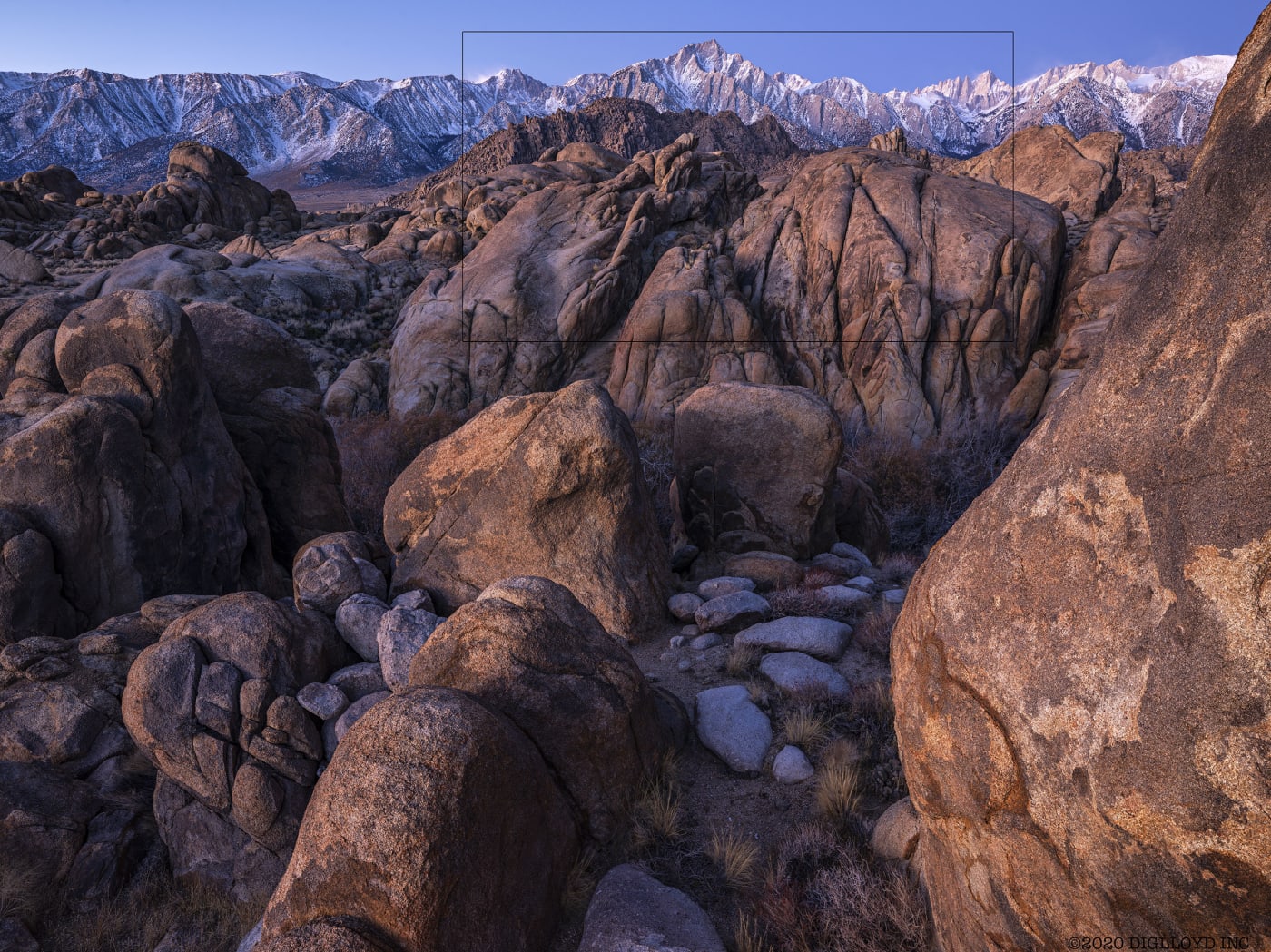 Year 2019: 14202 X 10650 = 151 megapixels, PhaseOne IQ4 150
