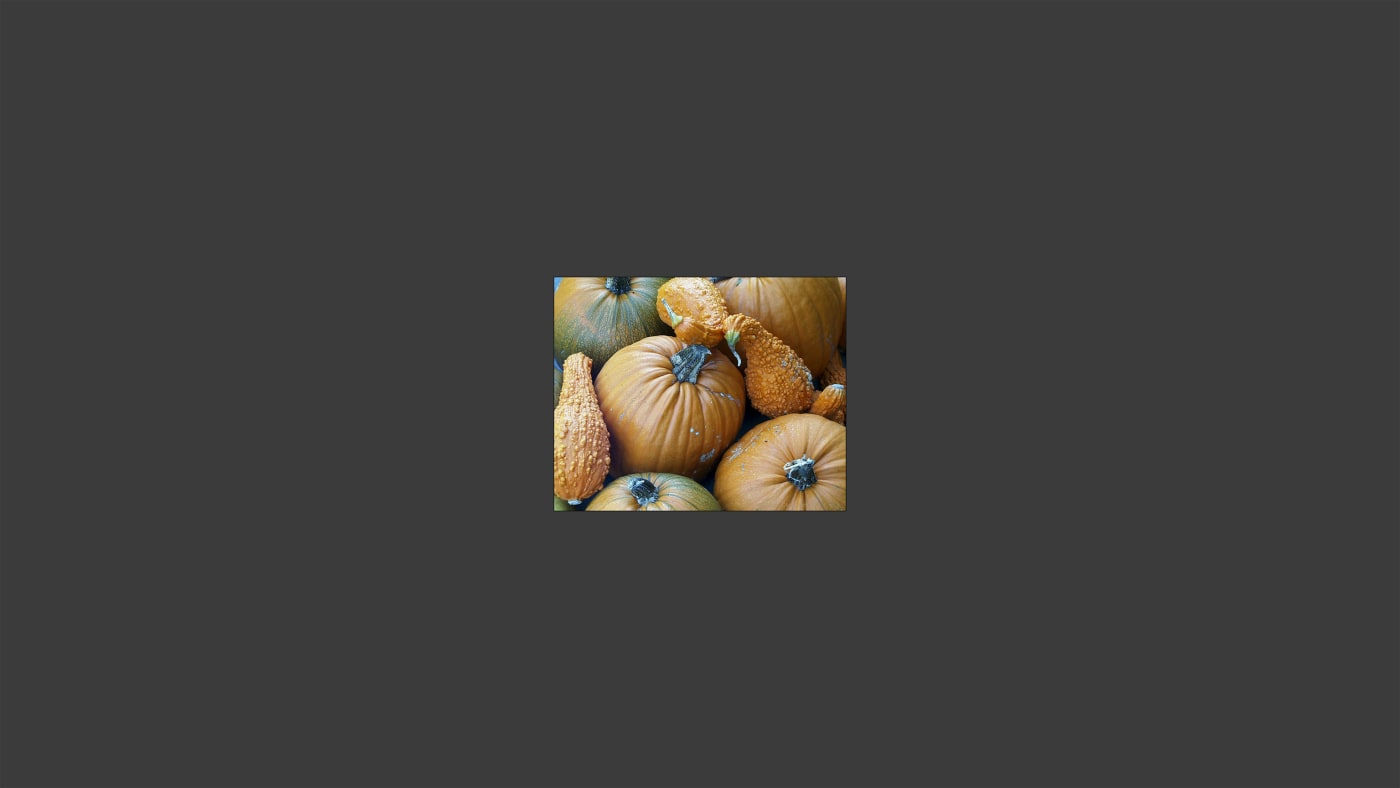 Year 1998: 1280 X 1024 = 1.31 megapixels, Olympus digital camera
