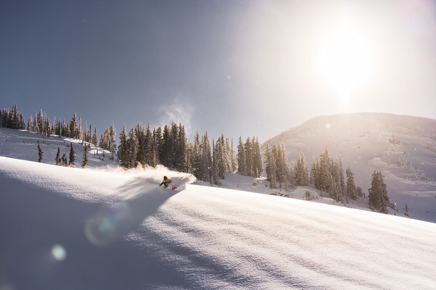 A skier carving through fresh powder on a snow-covered mountain slope, with pine trees and a bright sun shining in the background.