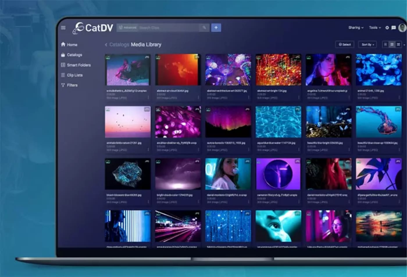 CatDV, media library