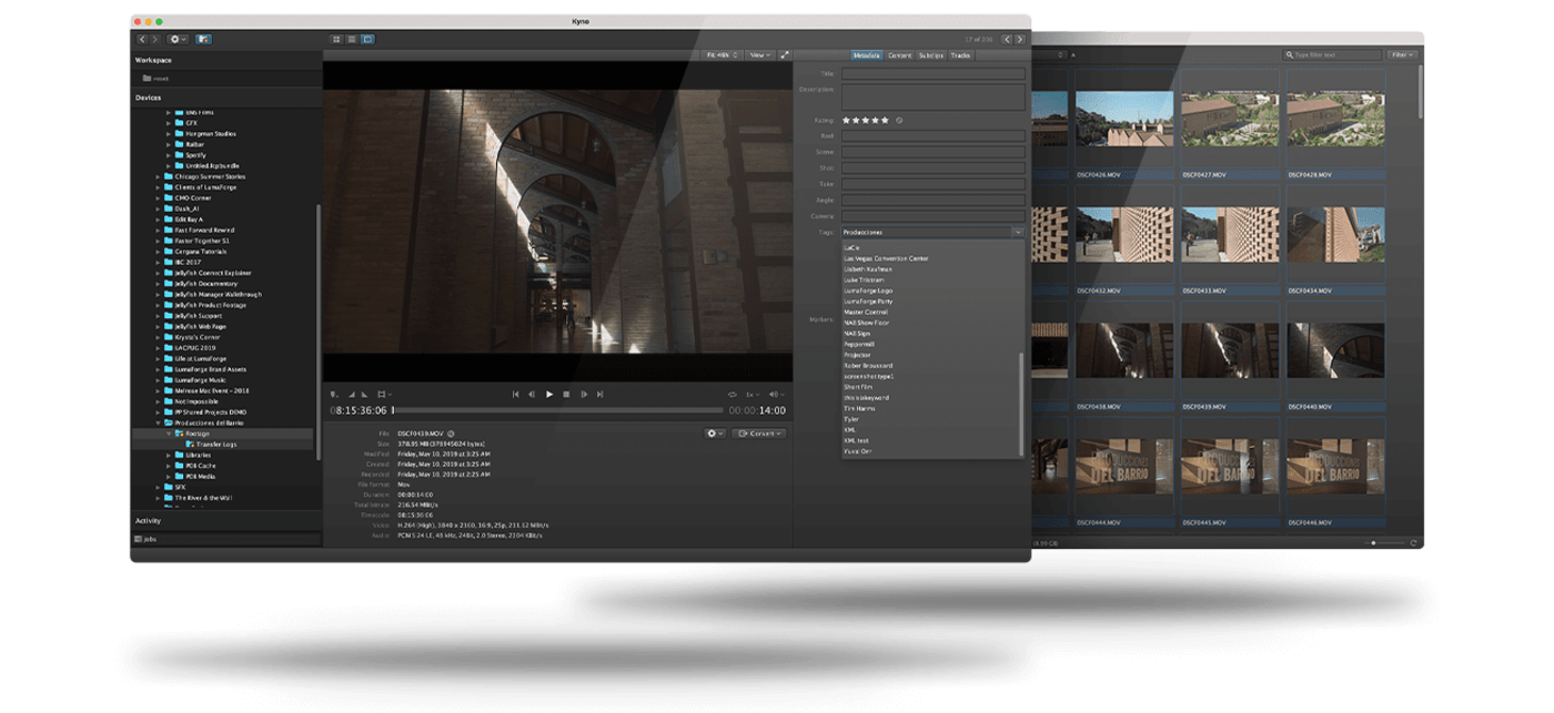 kyno jellyfish showcase