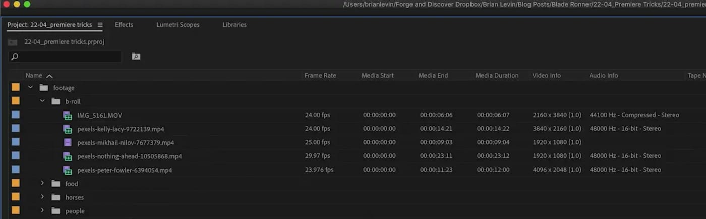 My proxy file-checking column layout preset