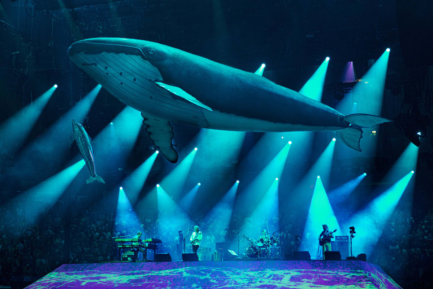 A concert stage bathed in blue lighting, with large inflatable whales suspended above the band performing below.