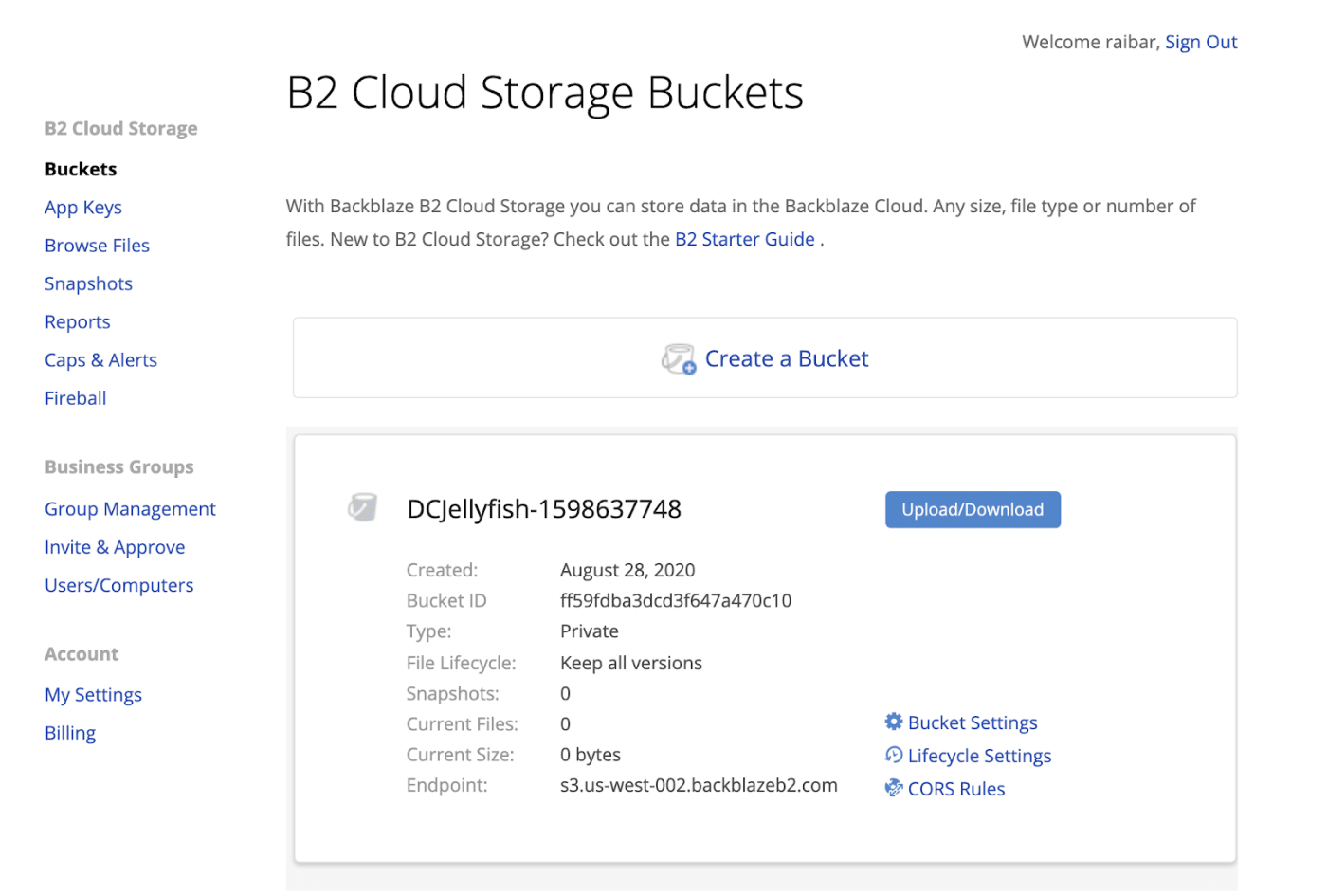 B2 Cloud Storage Buckets