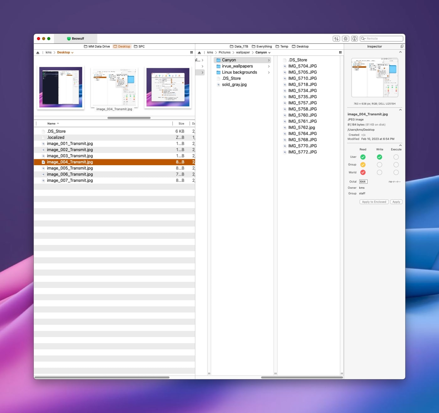 Beowulf in desktop. Canyon folder
