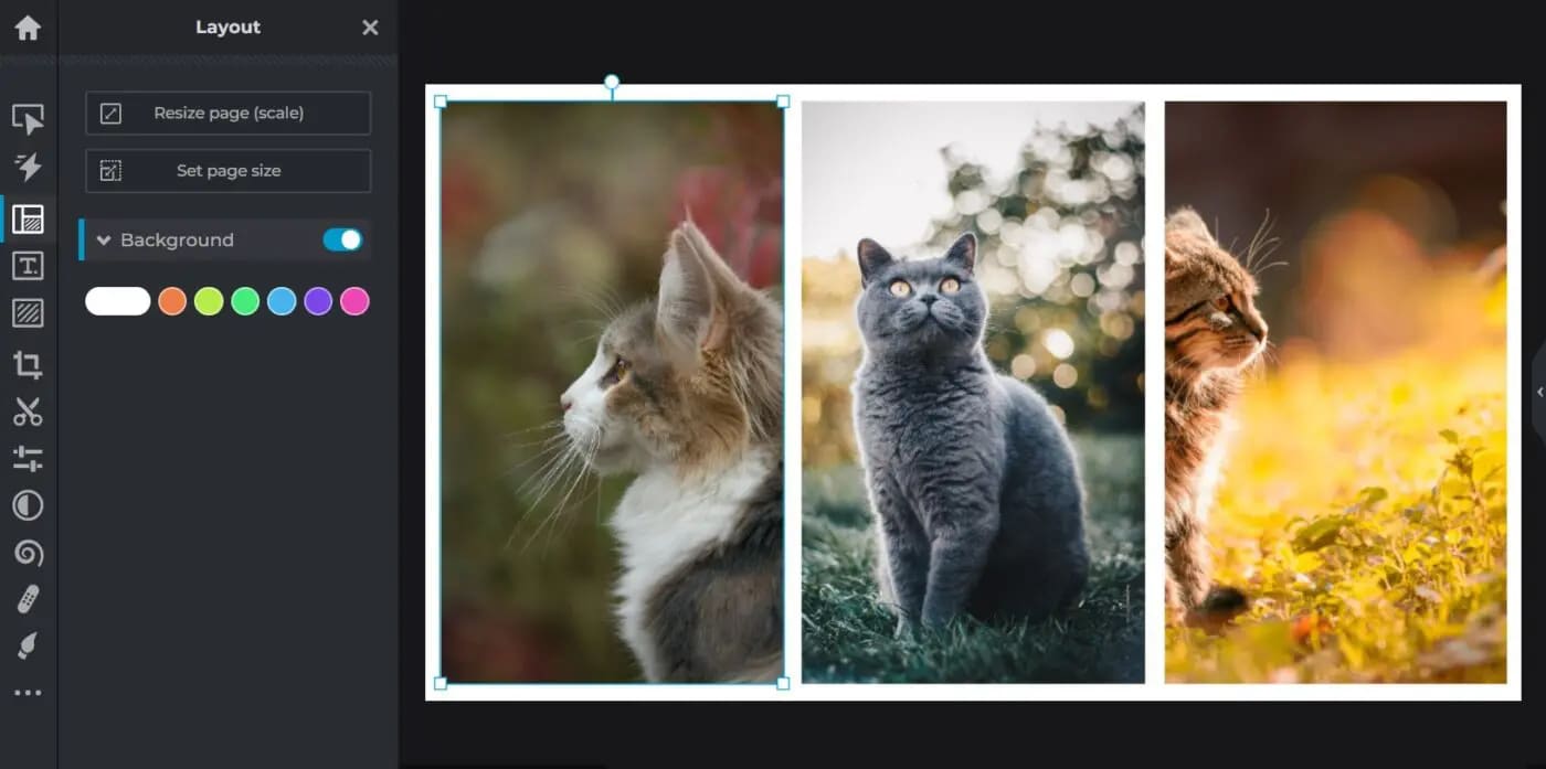 Insert Images scaled