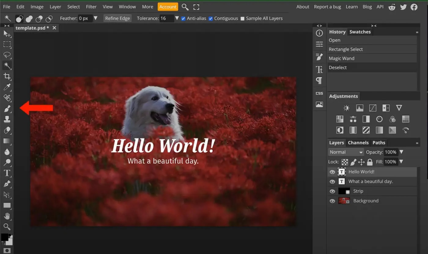 Hello World! What a beautiful day!