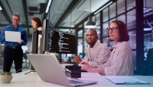 Software Developers