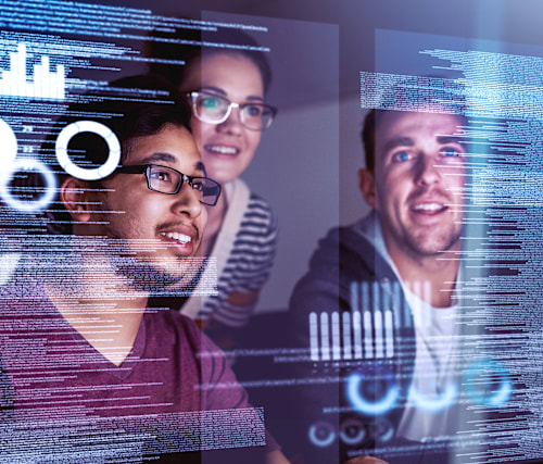 Professional users working as a team