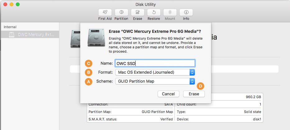Formatting Steps: 10.11-10.12