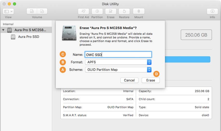 Formatting Steps: 10.13