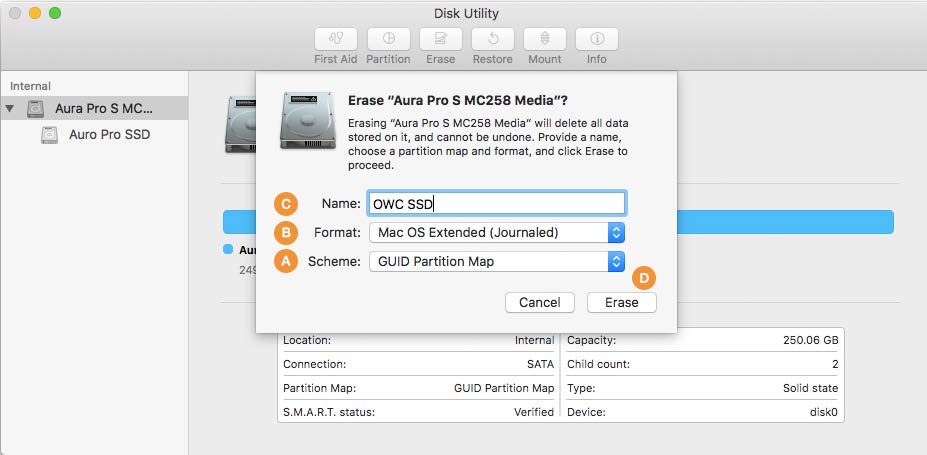 Formatting Steps: 10.11-10.12