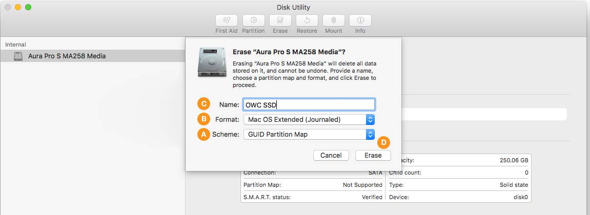 Formatting Steps: 10.11-10.12