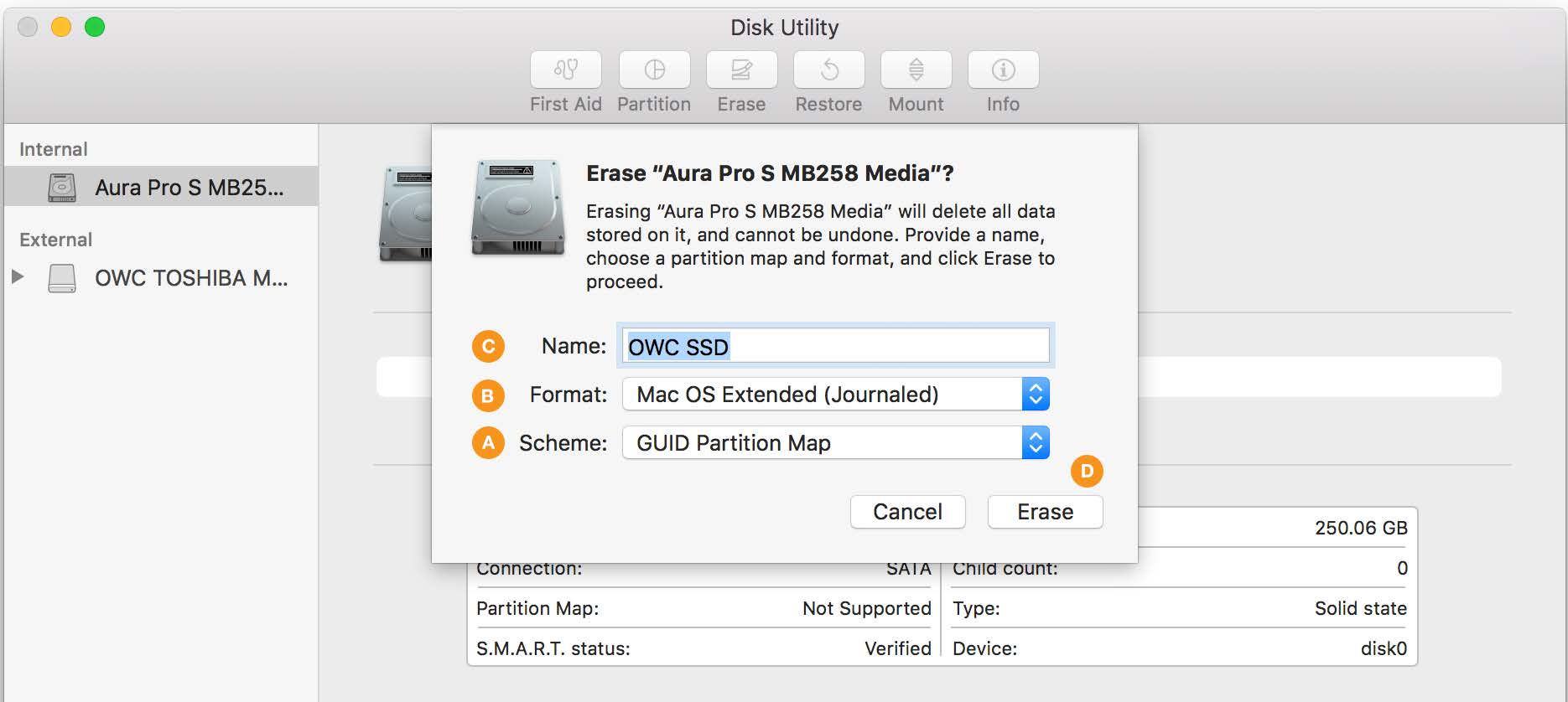 Formatting Steps: 10.11-10.12