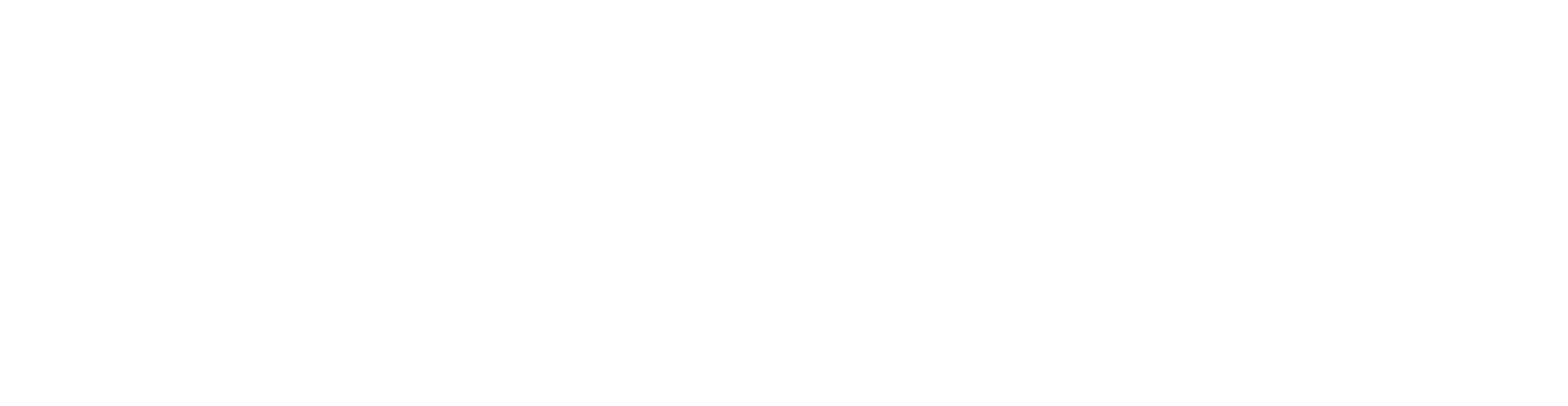 Strada Logo